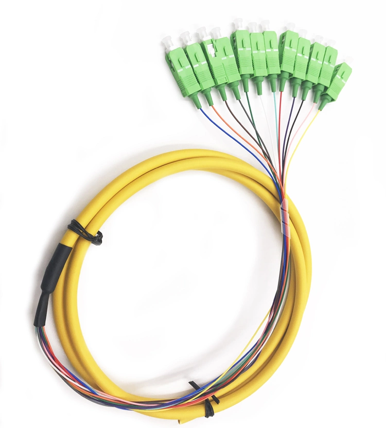 High Quality 12fibers Sc/APC Bunch Fiber Optic Pigtail with Good Price