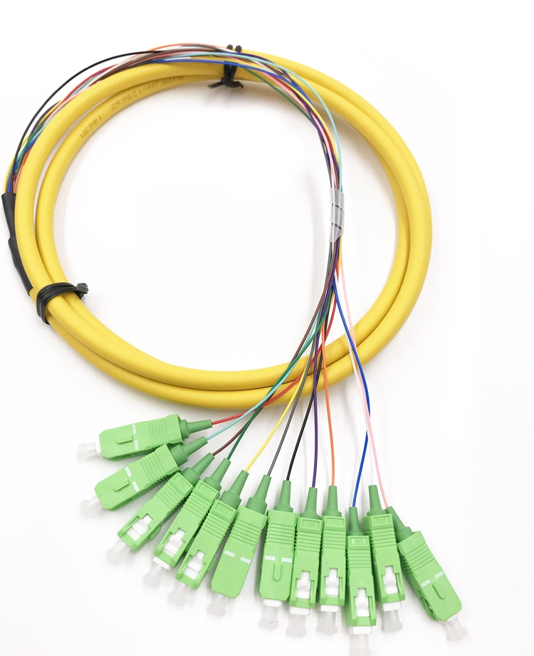 High Quality 12fibers Sc/APC Bunch Fiber Optic Pigtail with Good Price