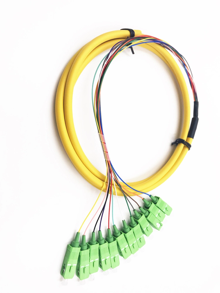 High Quality 12fibers Sc/APC Bunch Fiber Optic Pigtail with Good Price