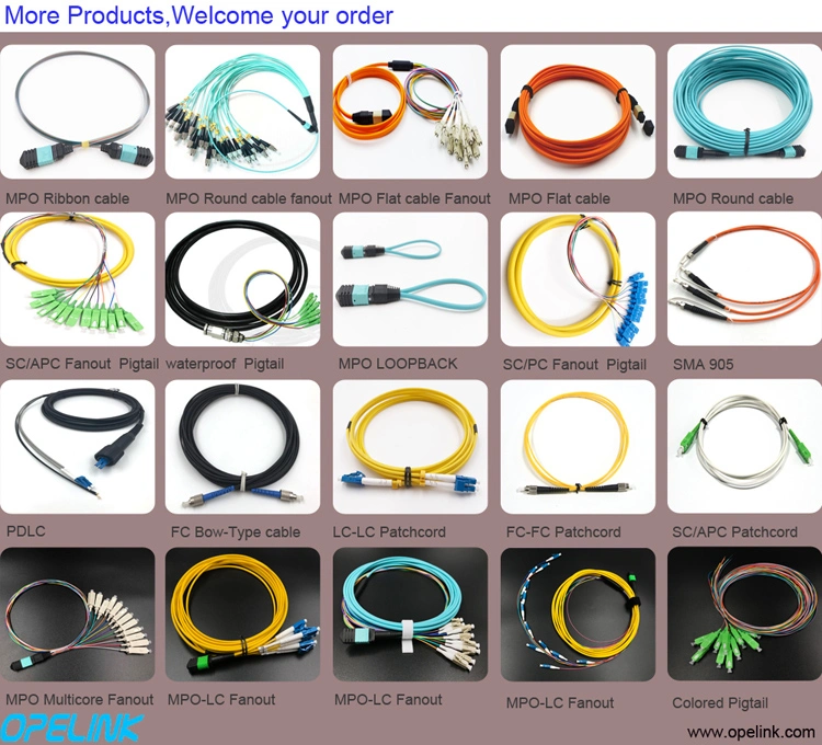 High Quality 12fibers Sc/APC Bunch Fiber Optic Pigtail with Good Price